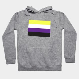 Colorado Non-Binary Pride Hoodie